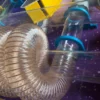 Coiled flexible metal duct attached to a clear plastic tube with blue circular clamps inside a colorful machine.