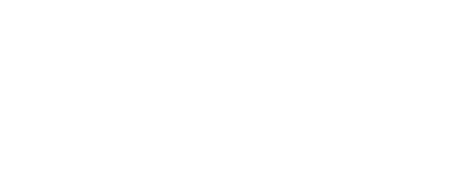 disney logo litezilla partner