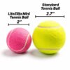 Size comparison: pink LiteZilla Mini tennis ball (2